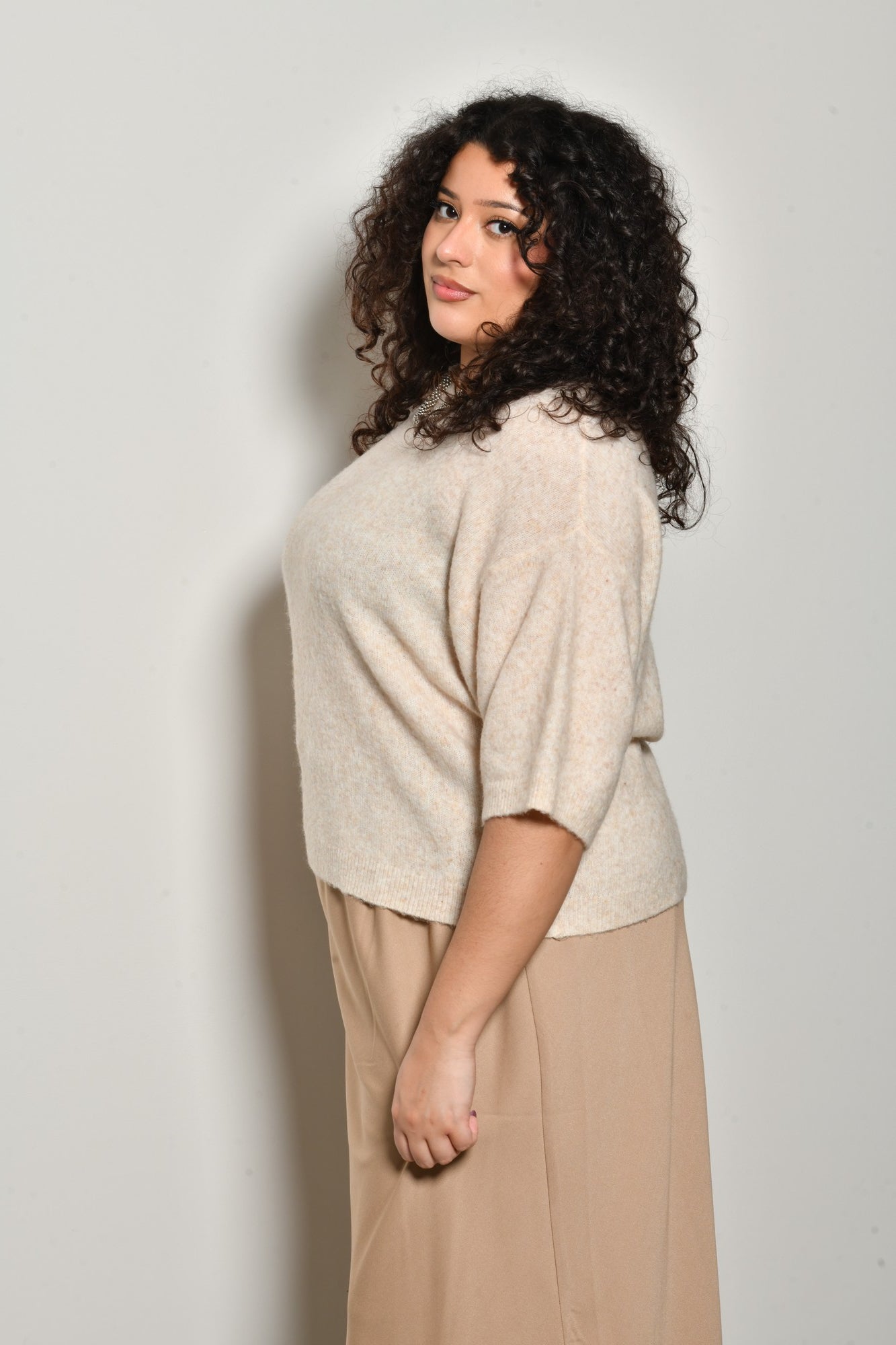 Pull IVY maille fine col rond - Grande taille 44-58