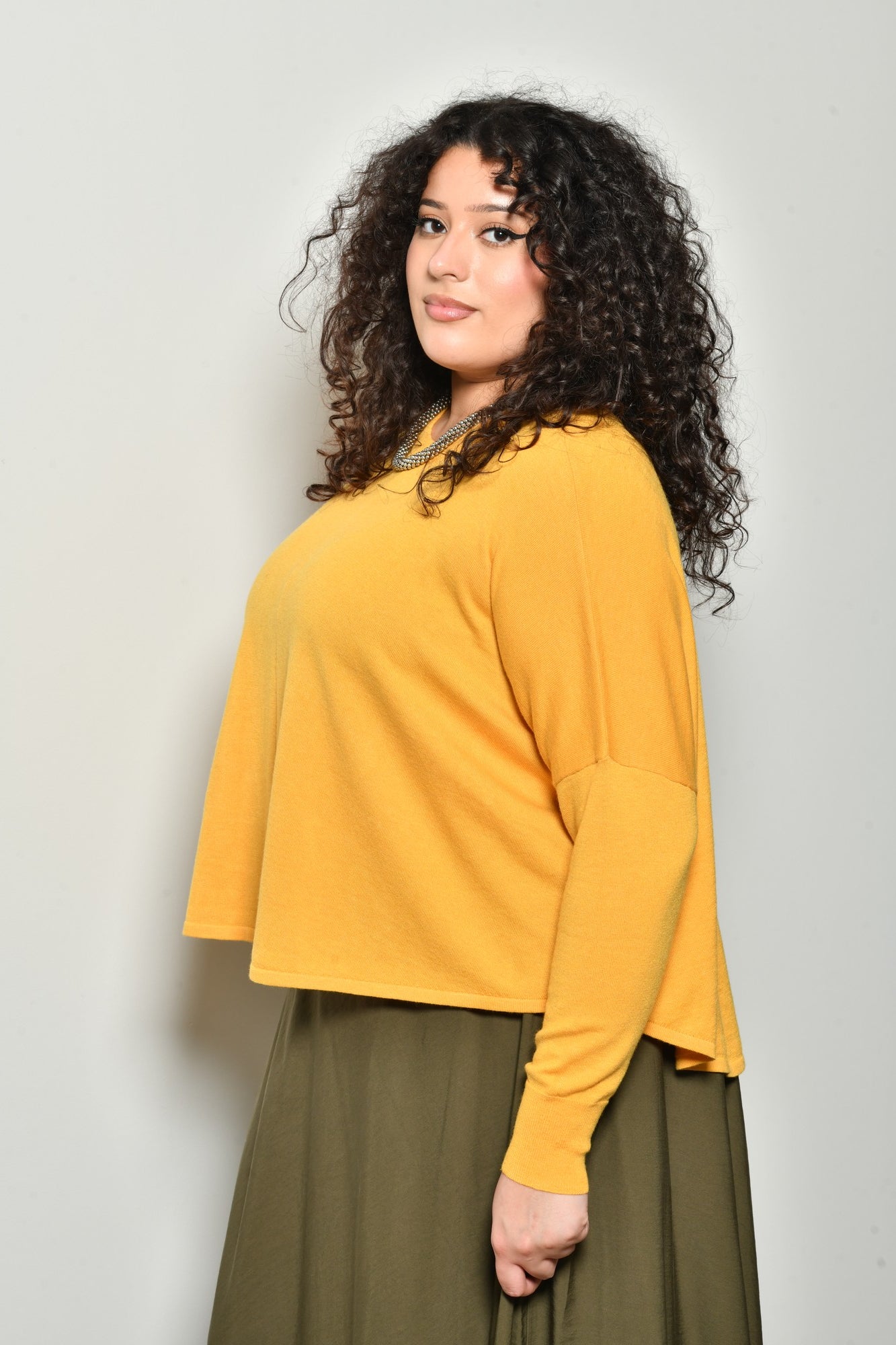 Pull INDIA maille douce col rond - Grande taille 44-58